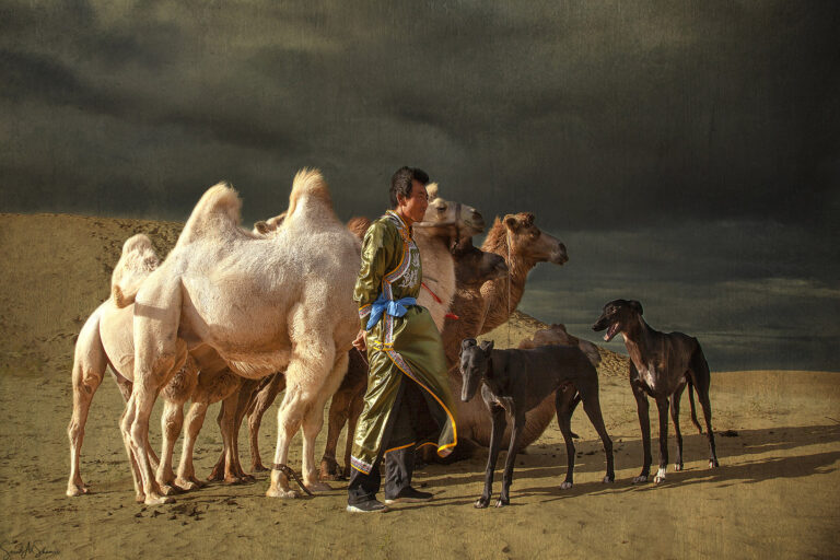 Saeed Al Shamsi - 2
